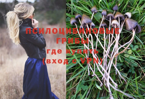 хмурый Абинск
