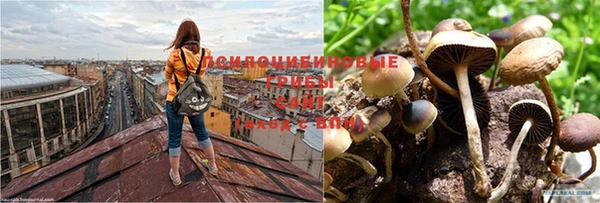 хмурый Абинск