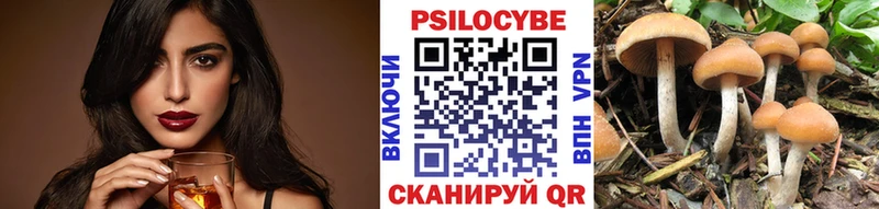 МЕГА Дербент Псилоцибиновые грибы прущие грибы